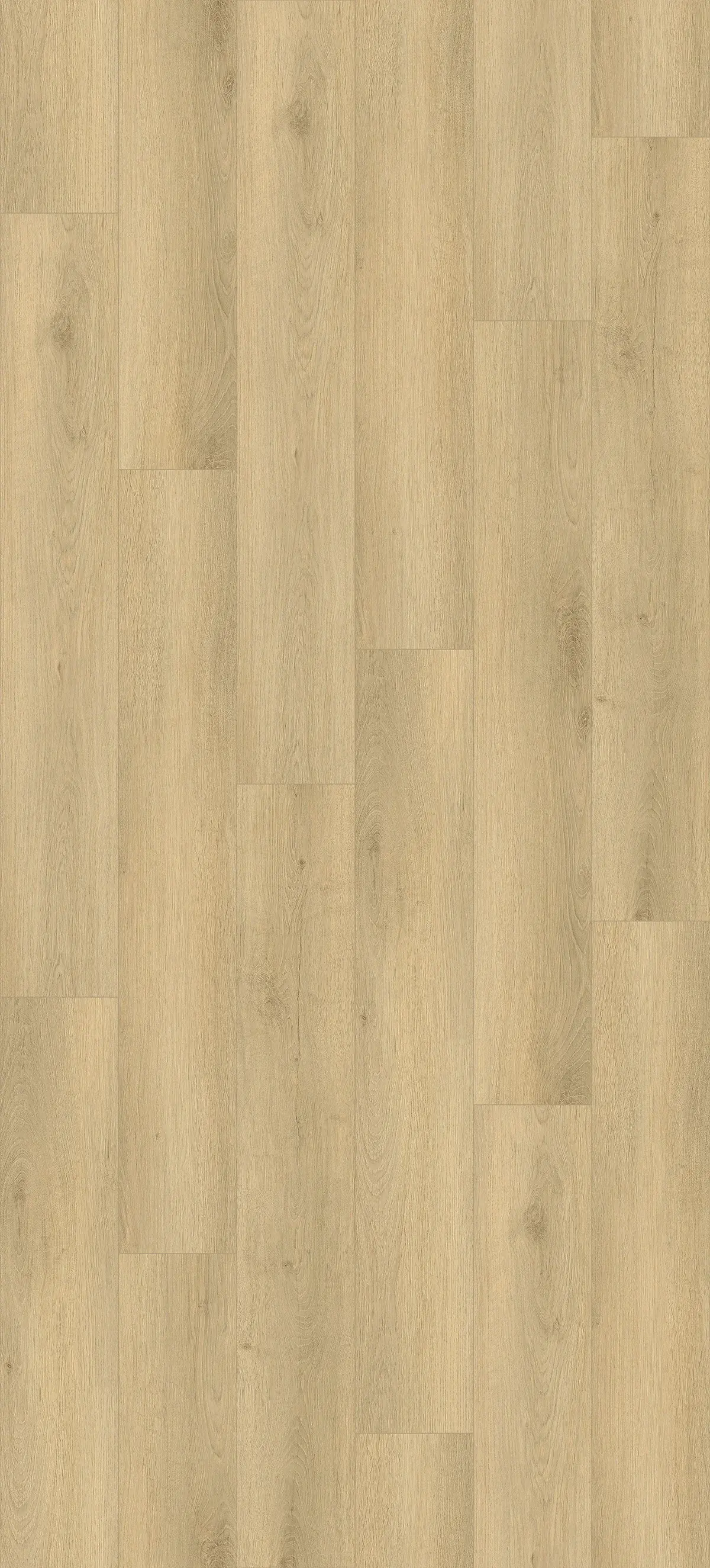 Taranta Plank_Buxton 300_184.15x1219.2mm copy
