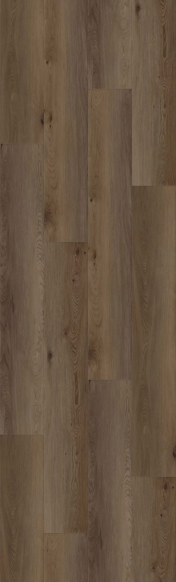 Latte 130 9x59